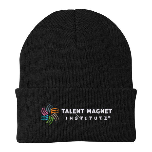 Talent Magnet Institute Embroidered - Knit Cap Thumbnail